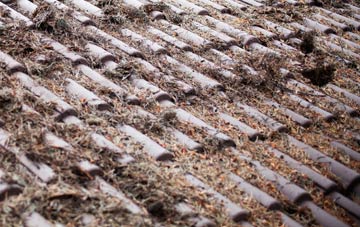 Mells roof cleaning companies